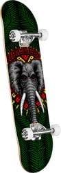 Powell Peralta Vallely Elephant Birch 7.5 Complete Skateboard - green